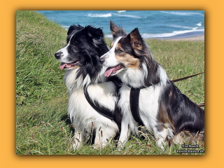 JayJay und Jayla (11).jpg